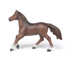 Papo | Anglo-Arab Mare