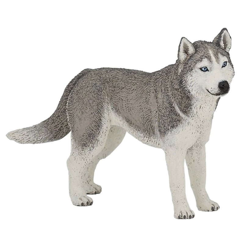 Papo Siberian Husky Dog