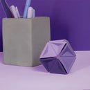 SPEKS | Pivot Silicone Flexagon