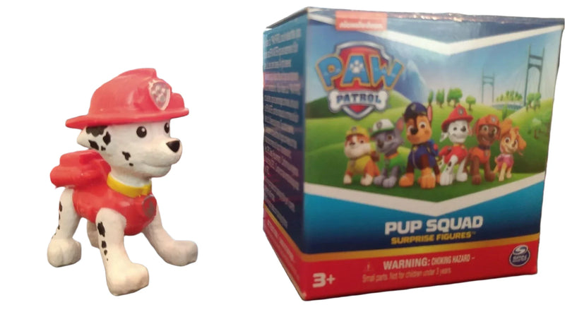 PAW Patrol Pup Squad Surprise Figures