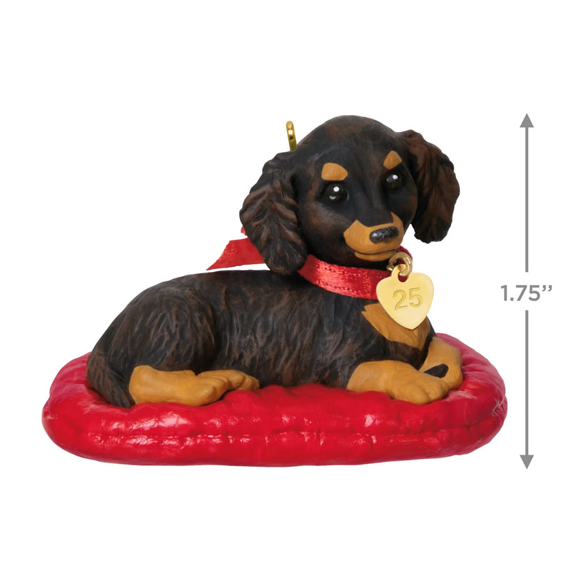 Long-haired Dachshund, 35th in the Puppy Love Series — 2025 Hallmark