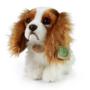 Rappa: Cavalier King Charles Spaniel (25cm)