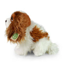 Rappa: Cavalier King Charles Spaniel (25cm)