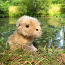 Rappa: Capybara (18cm)