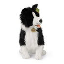 Rappa: Border Collie (40cm)