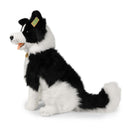 Rappa: Border Collie (40cm)