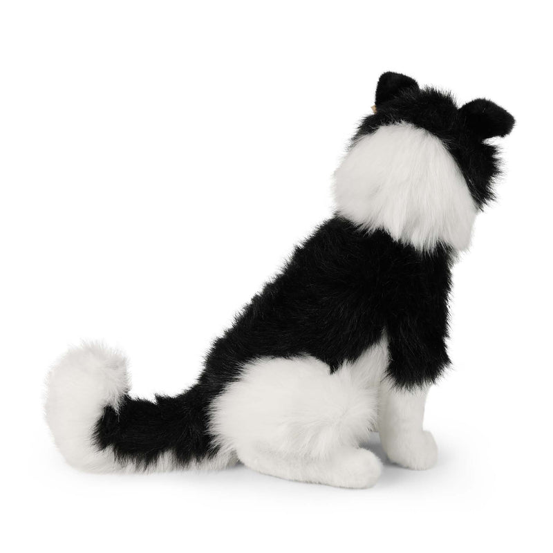 Rappa: Border Collie (40cm)
