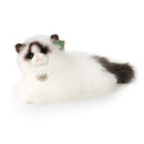 Rappa: Ragdoll Cat (35cm) Soft Toy