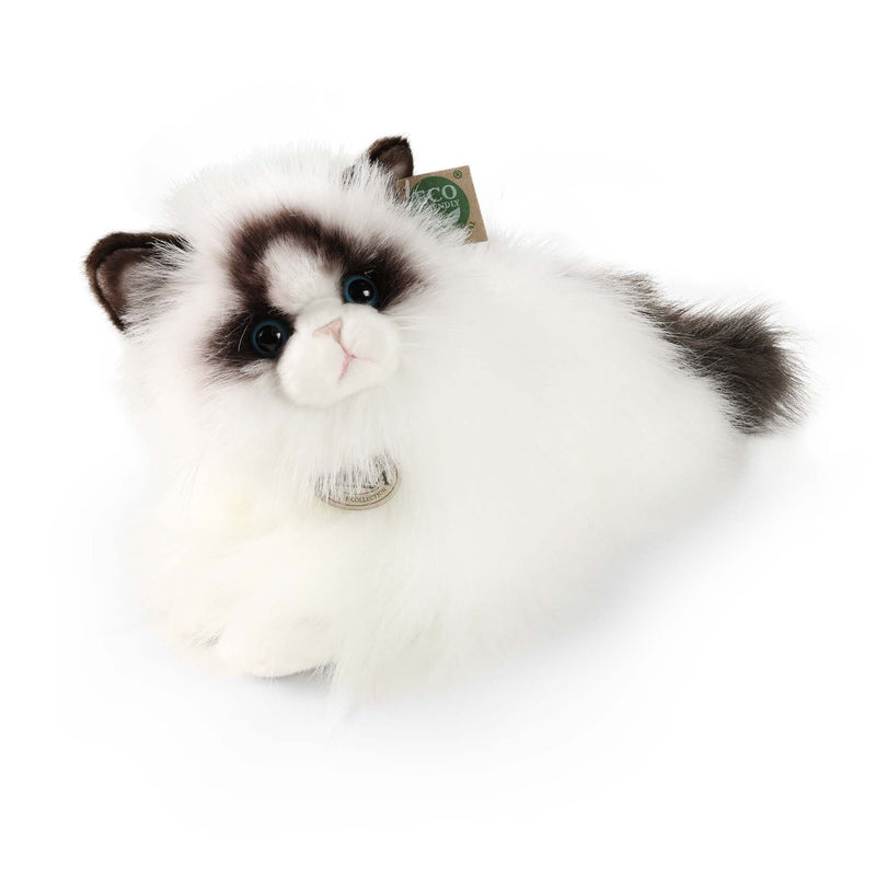 Rappa: Ragdoll Cat (35cm) Soft Toy