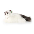 Rappa: Ragdoll Cat (35cm) Soft Toy