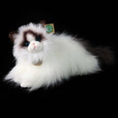 Rappa: Ragdoll Cat (35cm) Soft Toy