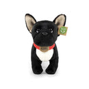 Rappa: French Bulldog With Collar (30cm)