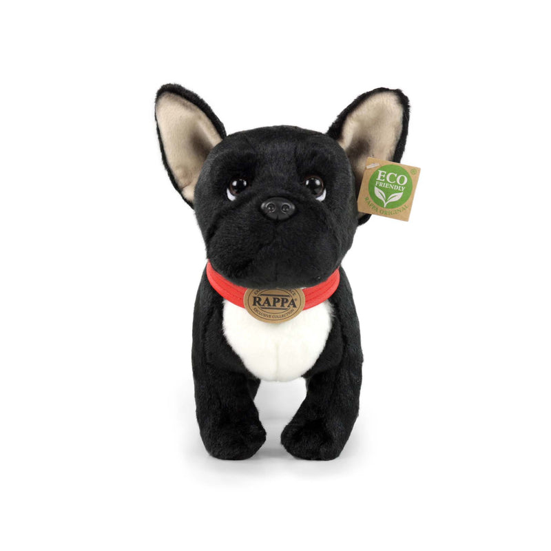 Rappa: French Bulldog With Collar (30cm)