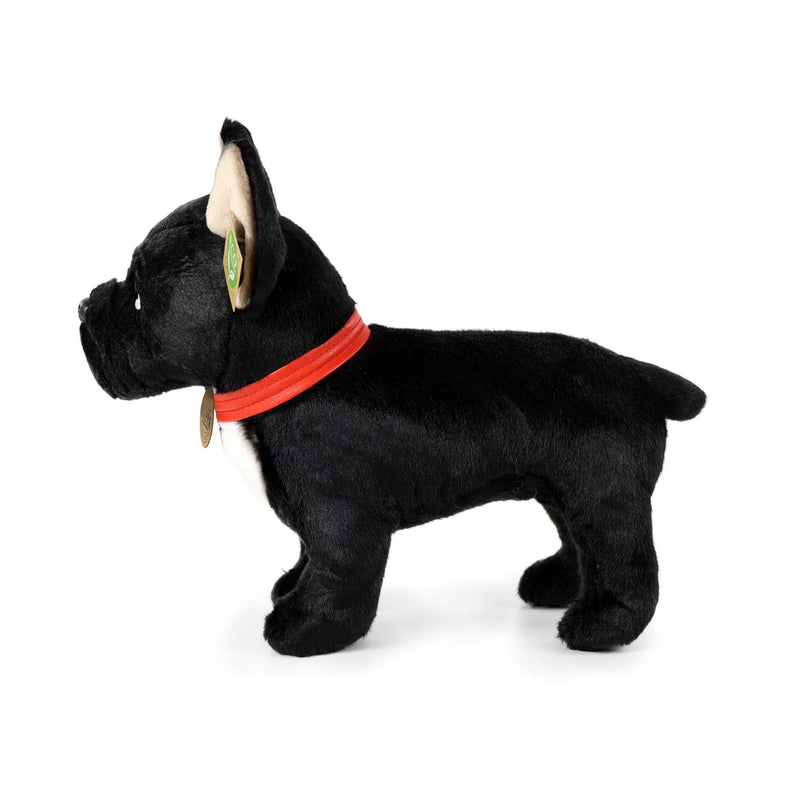 Rappa: French Bulldog With Collar (30cm)