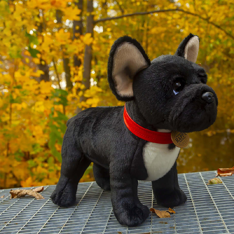 Rappa: French Bulldog With Collar (30cm)