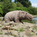 Rappa: Hippopotamus (30cm)
