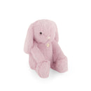 Snuggle Bunnies | Penelope the Bunny