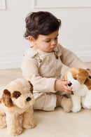 Snuggle Bunnies | Brooklyn The Beagle