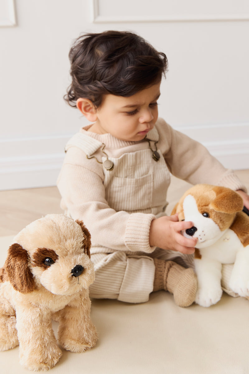 Snuggle Bunnies | Brooklyn The Beagle