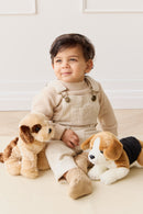 Snuggle Bunnies | Brooklyn The Beagle