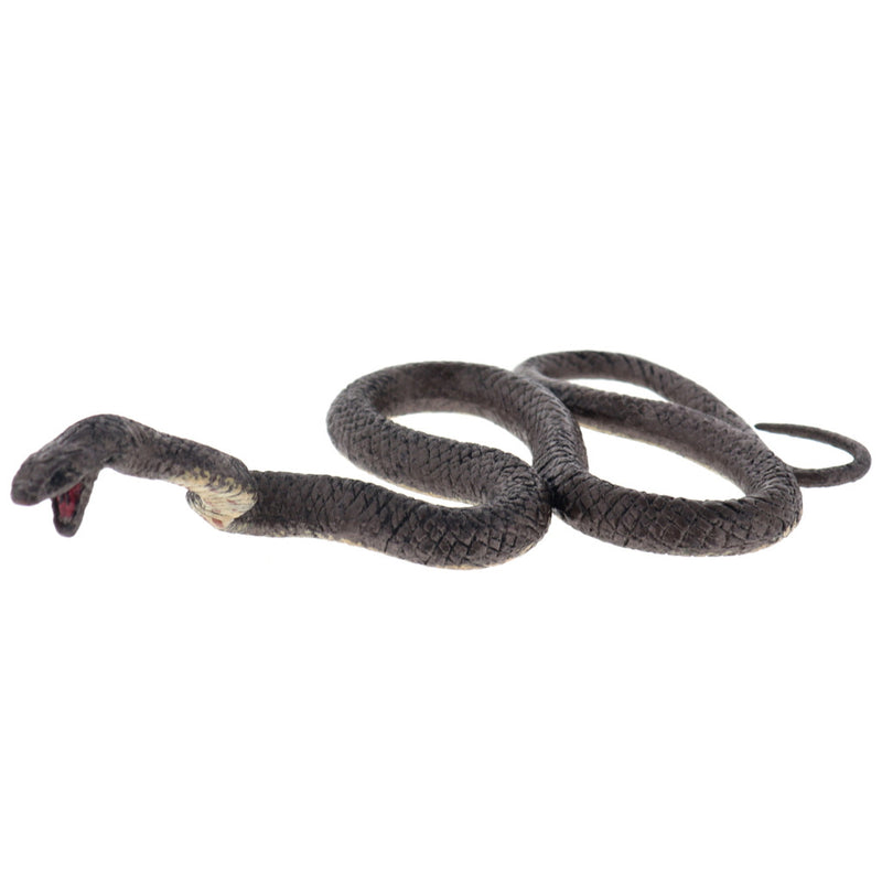 Science and Nature Brown Snake