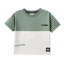 Cracked Soda Flint Olive Tee3-8