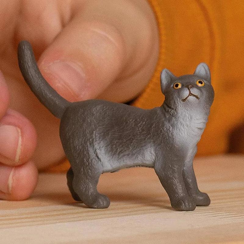 Schleich | British Shorthair Cat