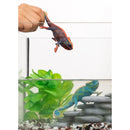 Schleich | Chameleon