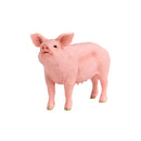 Schleich | Pig