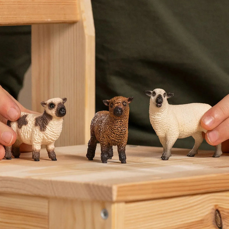 Schleich |  FARM WORLD Sheep Friends