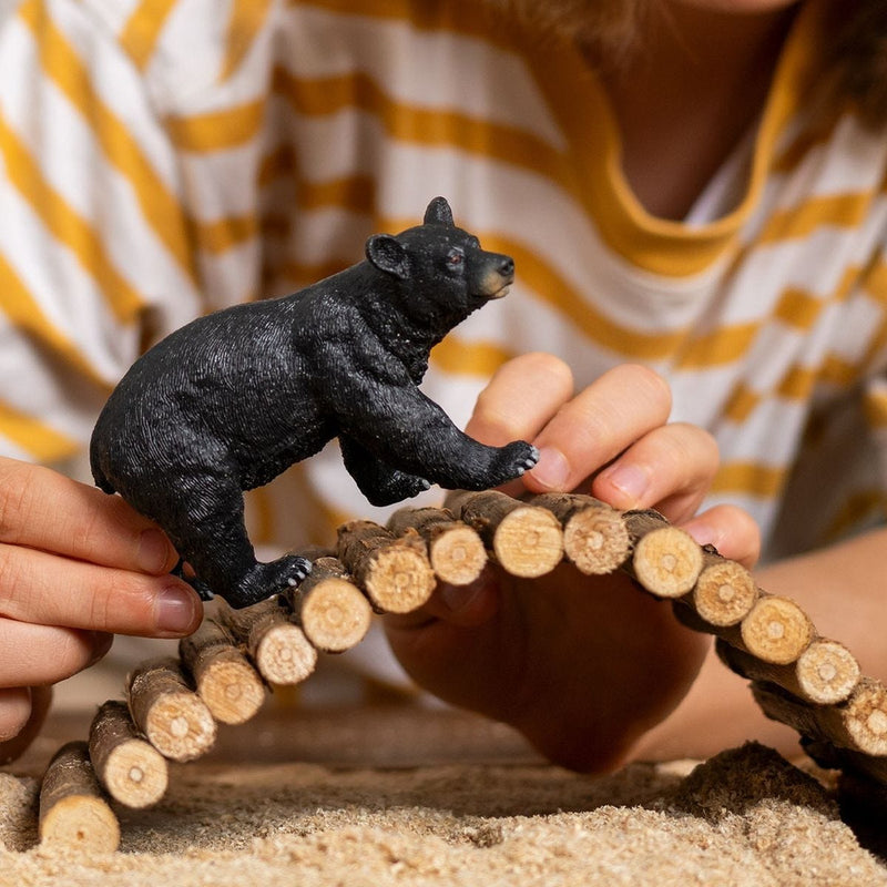 Schleich |  American Black Bear