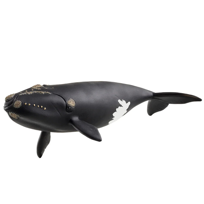 Schleich | North Atlantic Right Whale
