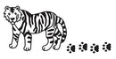 Science and Nature Wild Animal Stampers  - Asst