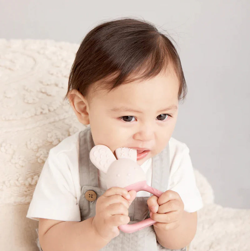 B.Box | Chill + Fill Teether - Assorted