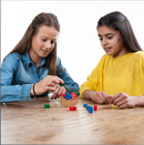Wooden Balance Game Seal