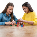 Wooden Balance Game Seal