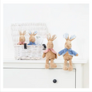 Peter Rabbit |  Flopsy Signature Soft Toy