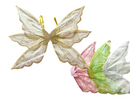 Fairy Wings - Assorted - W66cm x H48cm