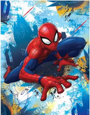 Birthday Card Spiderman card - Tag