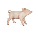 Papo Female piglet
