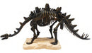 Stegosaurus Discover Dig Kit