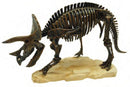 Triceratops Discover Dig Kit