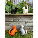 Watering Can Cat - Asstd