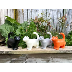 Watering Can Cat - Asstd