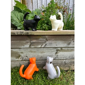 Watering Can Cat - Asstd