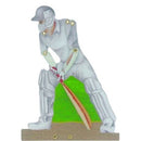 The Cricketer