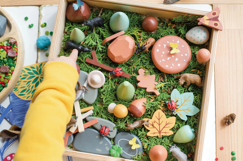 Tender Leaf  Toys| My Forest Floor Set