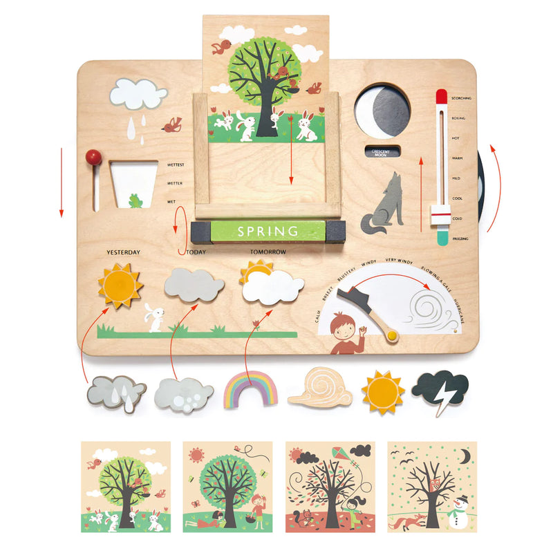 Tender Leaf  Toys | Wooden Weather Station