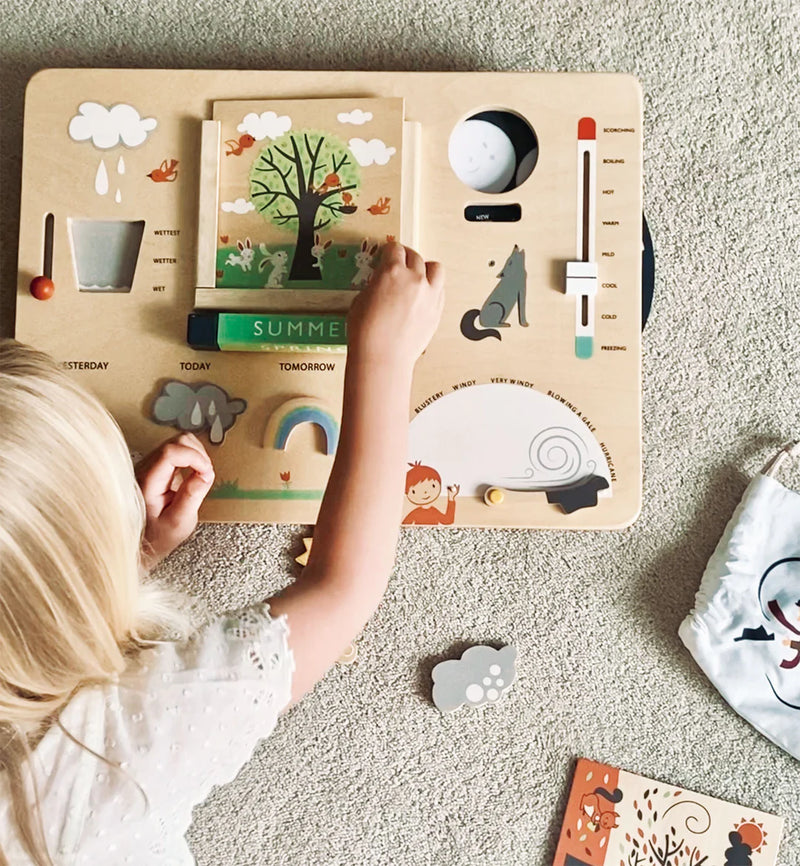 Tender Leaf  Toys | Wooden Weather Station