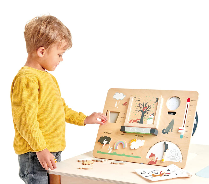 Tender Leaf  Toys | Wooden Weather Station